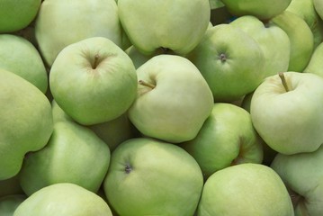 early green apples