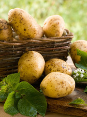 potatoes