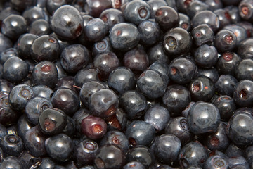 Blueberries