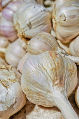 Garlic on the market stand
