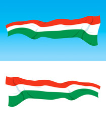 Hungarian flag
