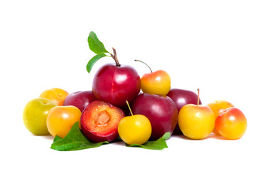 Pile of fresh red and yellow plums with leafs