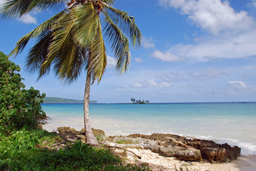 Samana / beach near Las Galeras