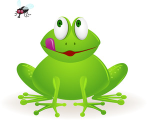frog staring at fly