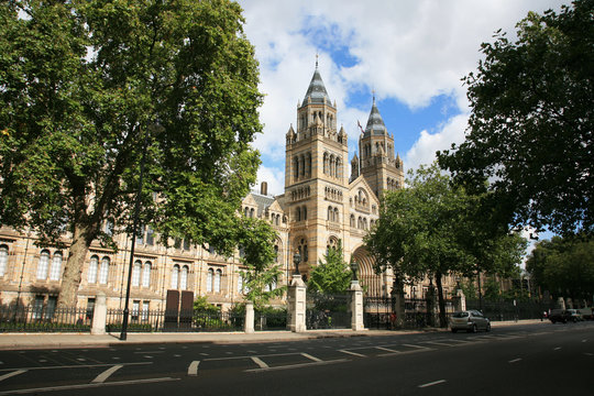 Fototapeta The Natural History Museum