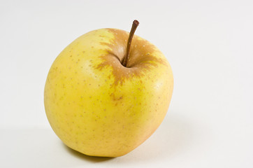 pomme golden