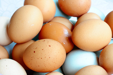Eggs