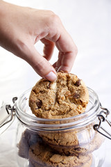 A hand taking cookies from a glass jar on white background