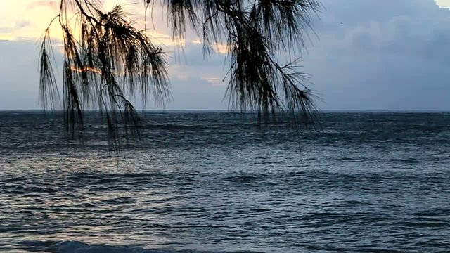 seychelles denis island spiaggia oceano