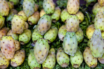 Figues de Barbarie_2