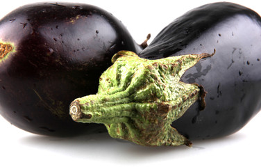 Eggplant on a white background