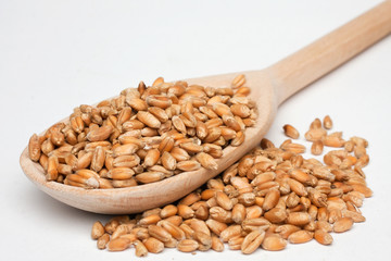 Wheat grits with a wooden spoon