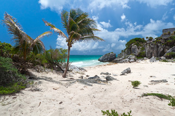 Fototapeta na wymiar Palmy na idyllicznej plaży Tulum - Meksyk