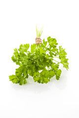 Parsley bundle isolated on white.