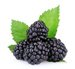 beautiful blackberries isolated on white