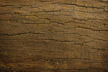 Wood