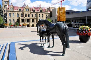 Fotobehang Family of Horses, in Municipal Plaza © Jeff Whyte