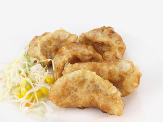 Fried Dumplings