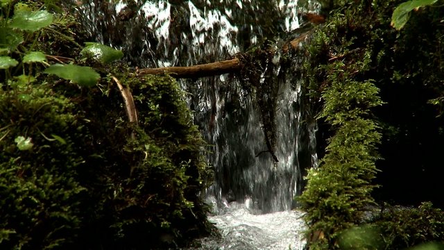 Fresh clean water running in mountain stream