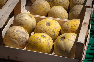 Boxes of melons - Cassette di meloni