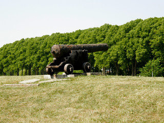 Cannon gun © João Figueiredo