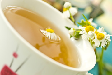 chamomile tea