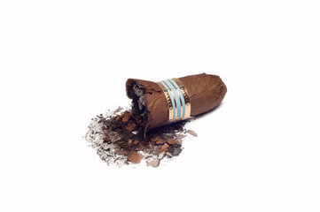 Сigar on a white background
