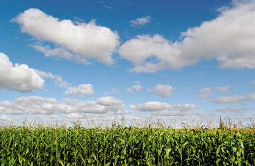 Land of growing corn.