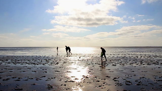 Familie wandert im Wattenmeer