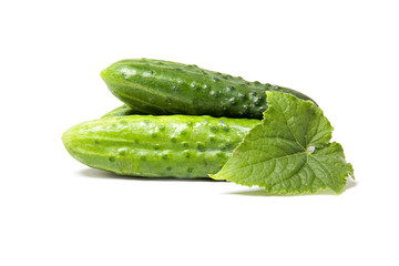 Fresh green cucumbers