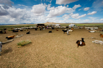 Pejzaż Mongolii