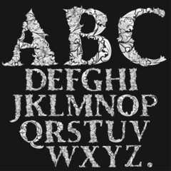 very detailed flower font