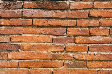 Fototapeta premium Old brick wall
