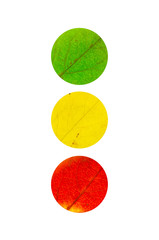 3 colored Leaves in the shape of traffic light