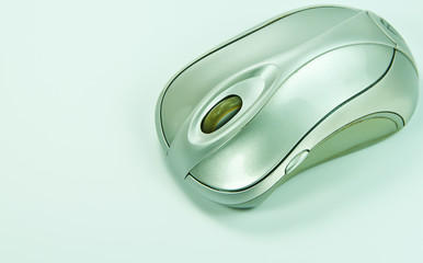 Old mouse