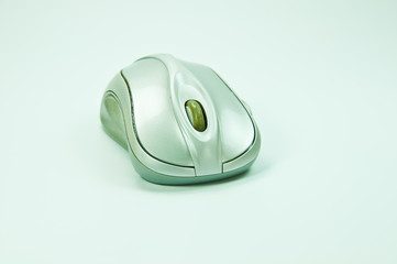 Old mouse