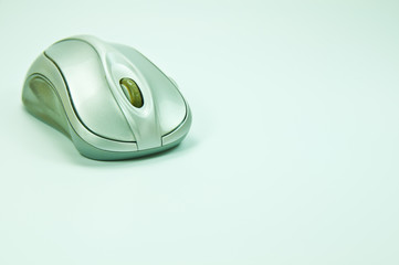 Old mouse