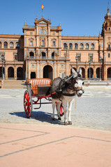 Obraz premium Sevilla - carruaje burro en Plaza España