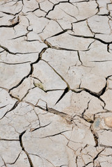 Cracked soil