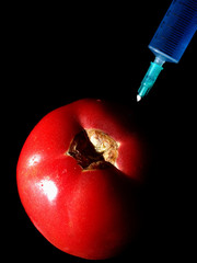 Red tomatoes and a syringe on a black background