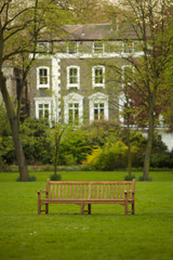 Fototapeta na wymiar A wooden bench in a park