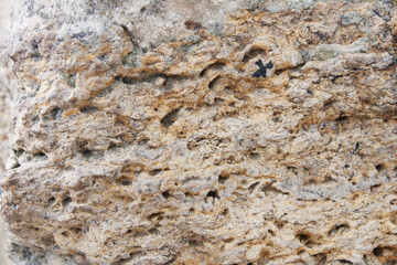 Wall texture stone fortress