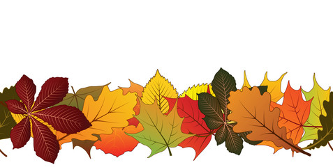 Seamless leaves, horizontal pattern