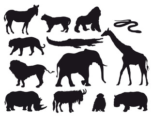 ANIMALES SELVA © ISK