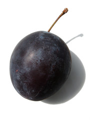 Zwetschge