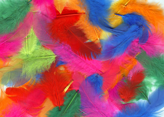garish feathers