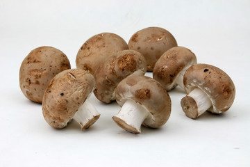 Braune Champignons