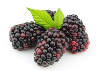 Sweet and juice blackberry