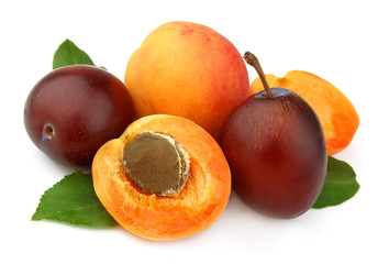 Naklejka na ściany i meble apricot and plums