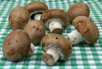 Braune Champignons